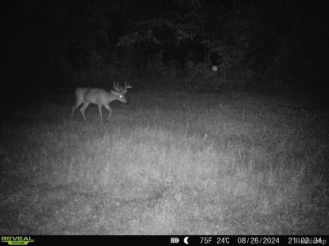 V/L BLAKE Road, Jackson, MI 49201 — Photo 87