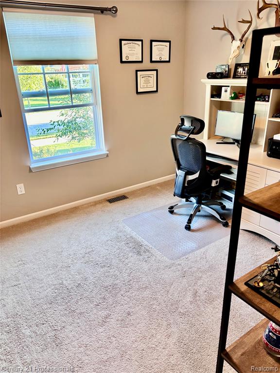 4157 Pepper Tree Lane, Howell, MI 48843 — Photo 29