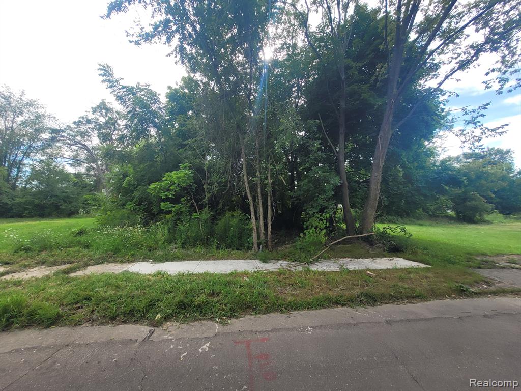 3443 BEALS Street, Detroit, MI 48214 — Photo 3