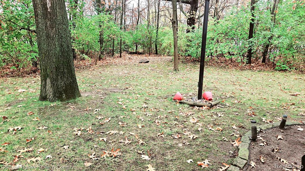 307 SPRING BROOKE Drive, Brighton, MI 48116 — Photo 4