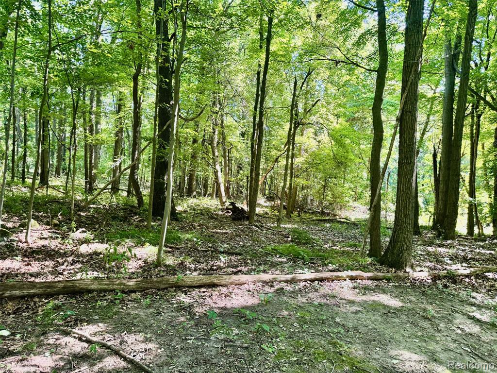 3711 Baldwin Road, Metamora, MI 48455 — Photo 61