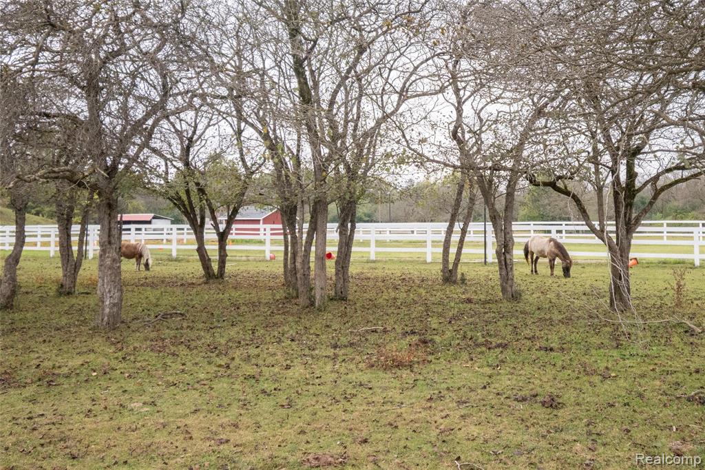 3506 Niagara Avenue, Canton, MI 48188 — Photo 57