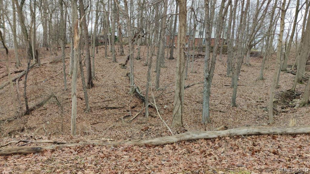 Lot 149 Breer Court, Bloomfield Hills, MI 48302 — front exterior