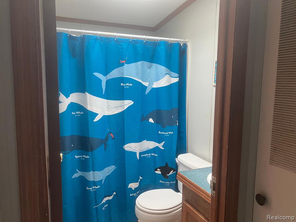 520 Pond View, Morrice, MI 48857 — Photo 12