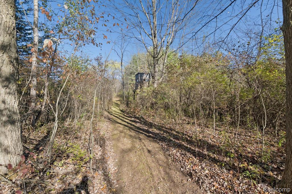 4842 Preston Road, Howell, MI 48855 — Photo 58