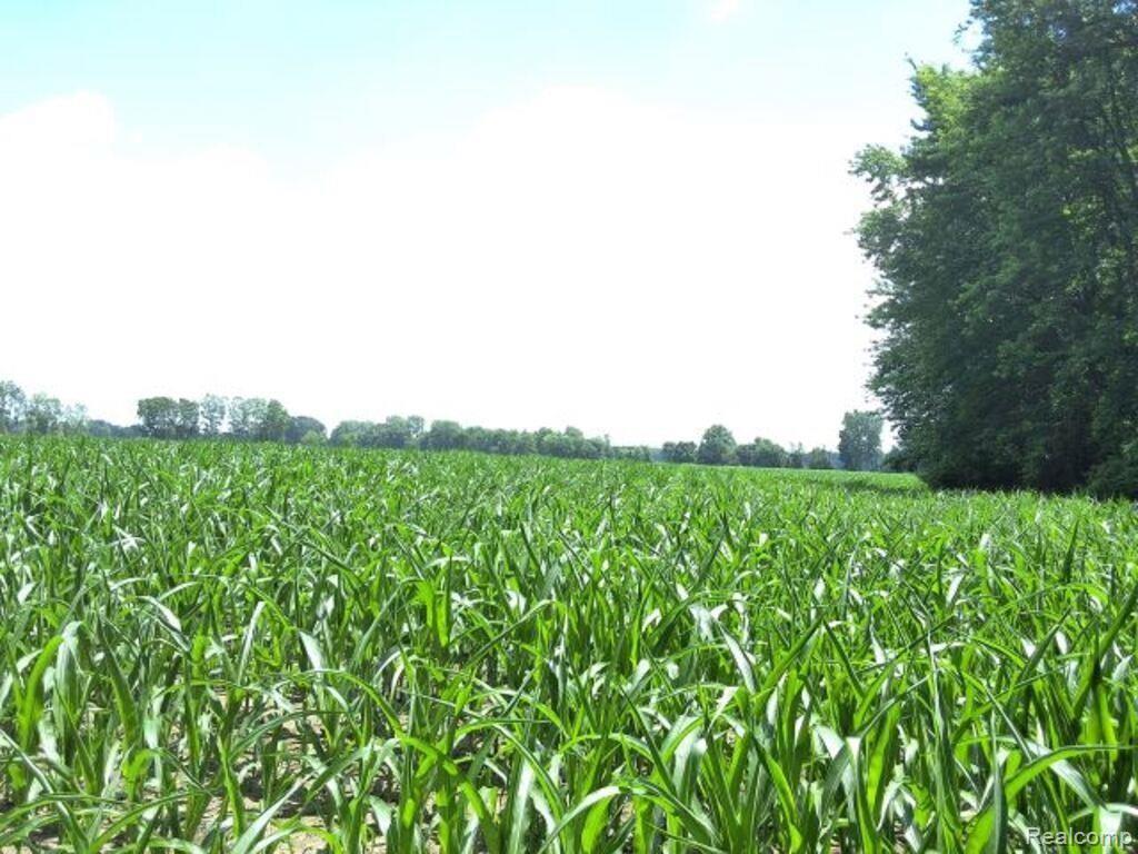 AUCTION Lot #6 10 acres Capac Road, Capac, MI 48014 — Photo 2