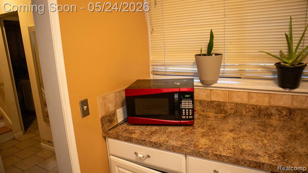 1011 Trevor Place, Detroit, MI 48207 — Photo 6