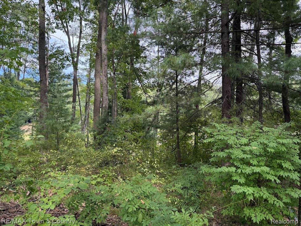 207 Mary Jo Road, Harrison, MI 48625 — Photo 14