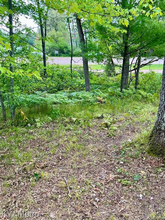 6629 S Tampa, Idlewild, MI 49642 — Photo 14