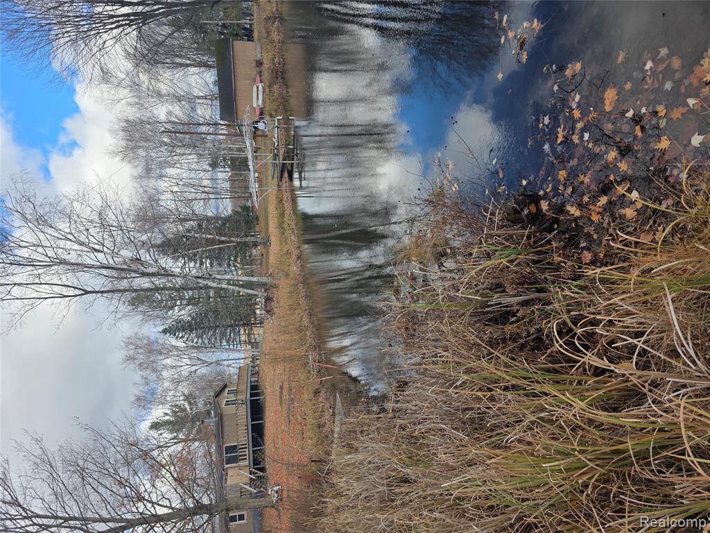 VL Birch Road, Evart, MI 49631 — Photo 5