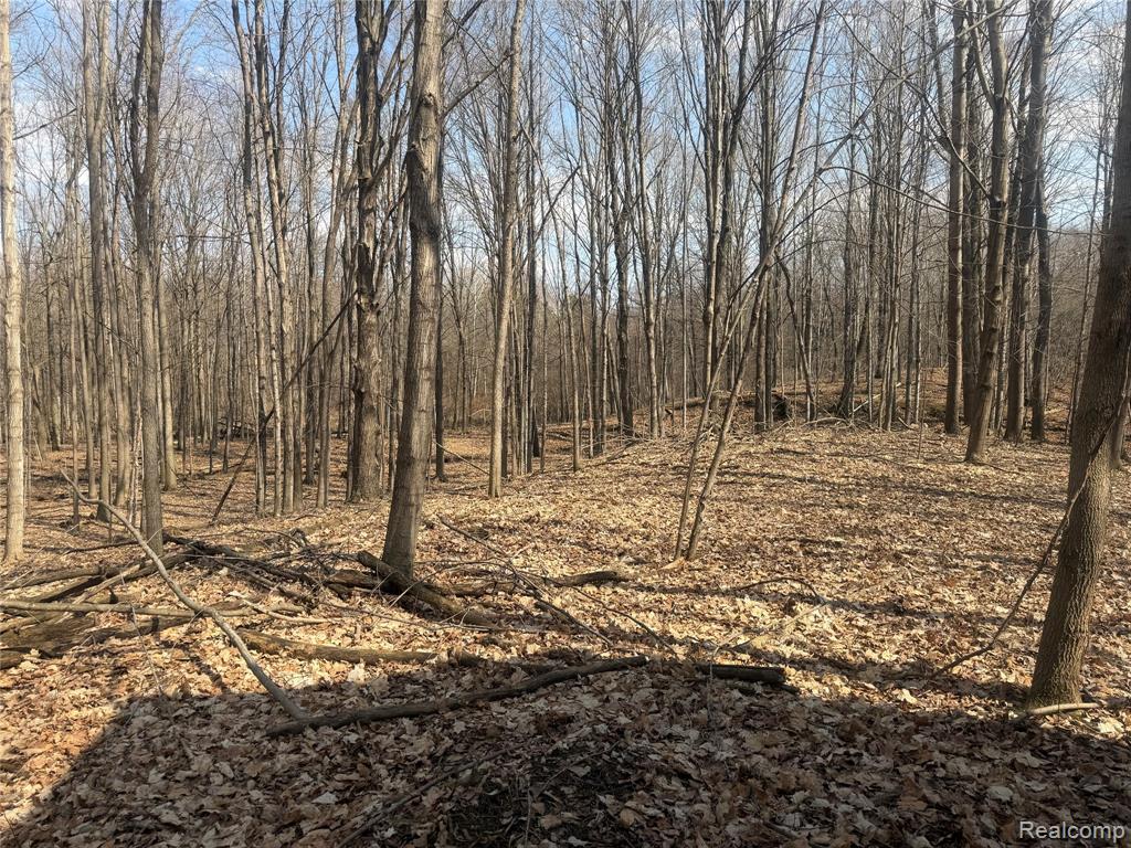 V/L Fulton, Mayville Vlg, MI 48744 — Photo 29