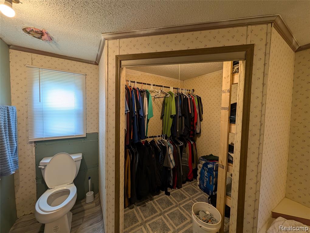 11175 S Morrice Road, Morrice, MI 48857 — Photo 8