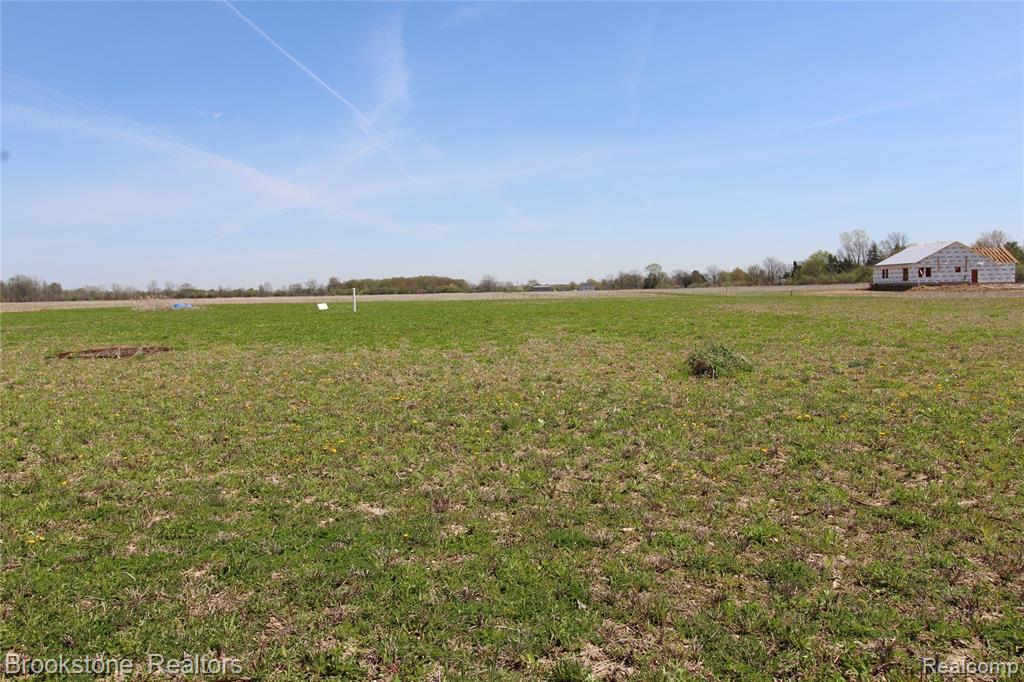 Vacant Lot D Stoddard Road, Columbus, MI — Photo 2
