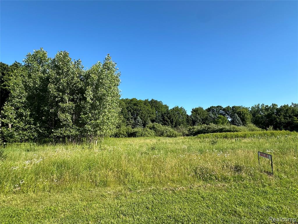 68 Donegal Court, Fenton, MI 48430 — Photo 6