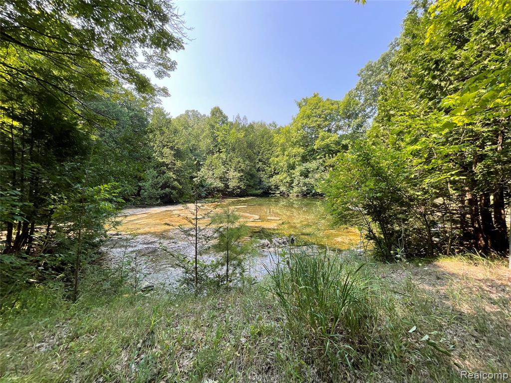 3425 Sutton Road, Dryden, MI 48428 — Photo 51