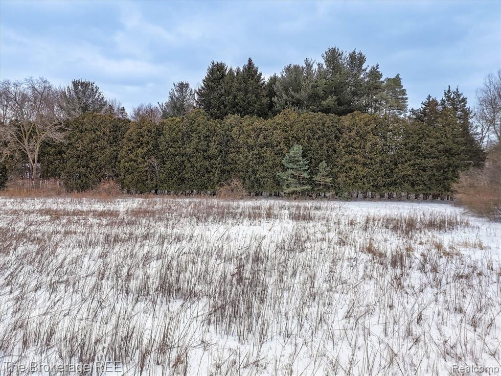 S Gera Rd, Birch Run, MI 48415 — Photo 15