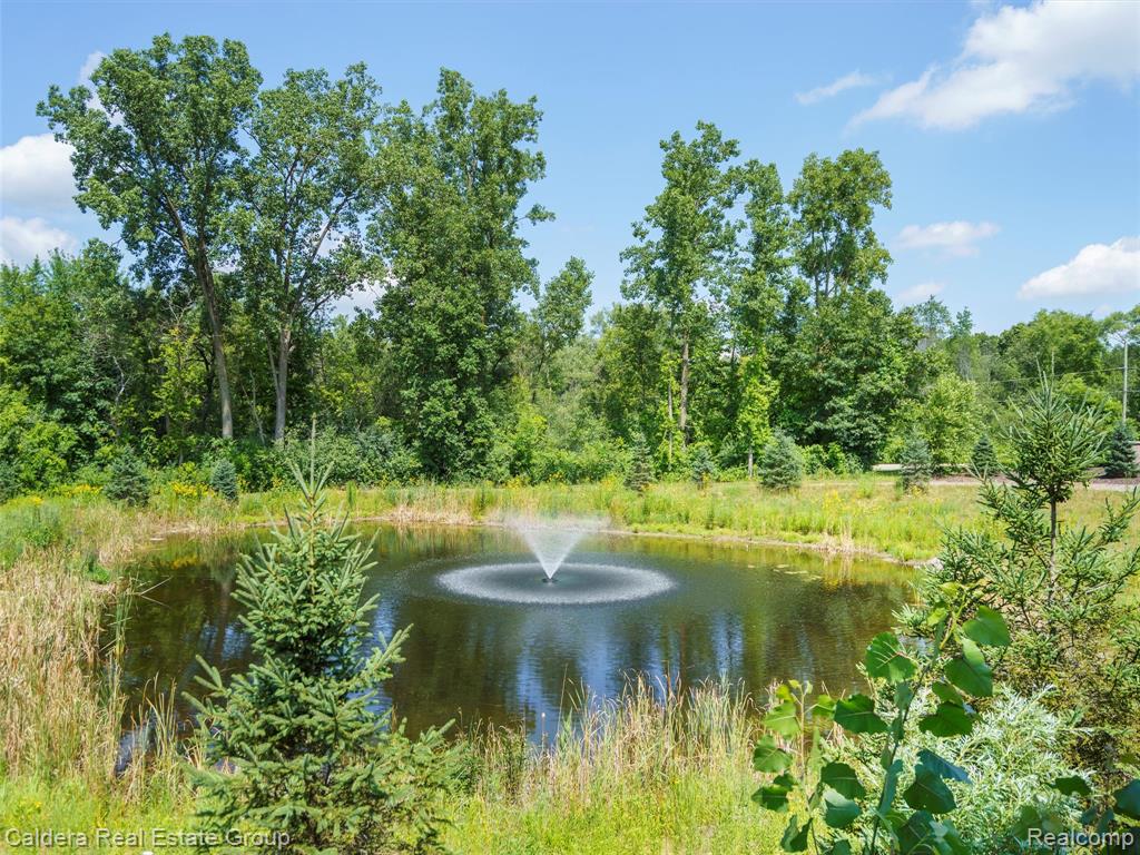 4132 Walcott Drive, Lake Orion, MI — Photo 6