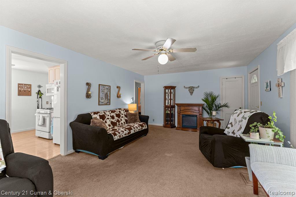 230 MECHANIC Street, Dundee, MI 48131 — Photo 8
