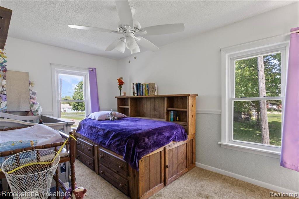 325 N Ann Street, Byron, MI 48418 — Photo 20