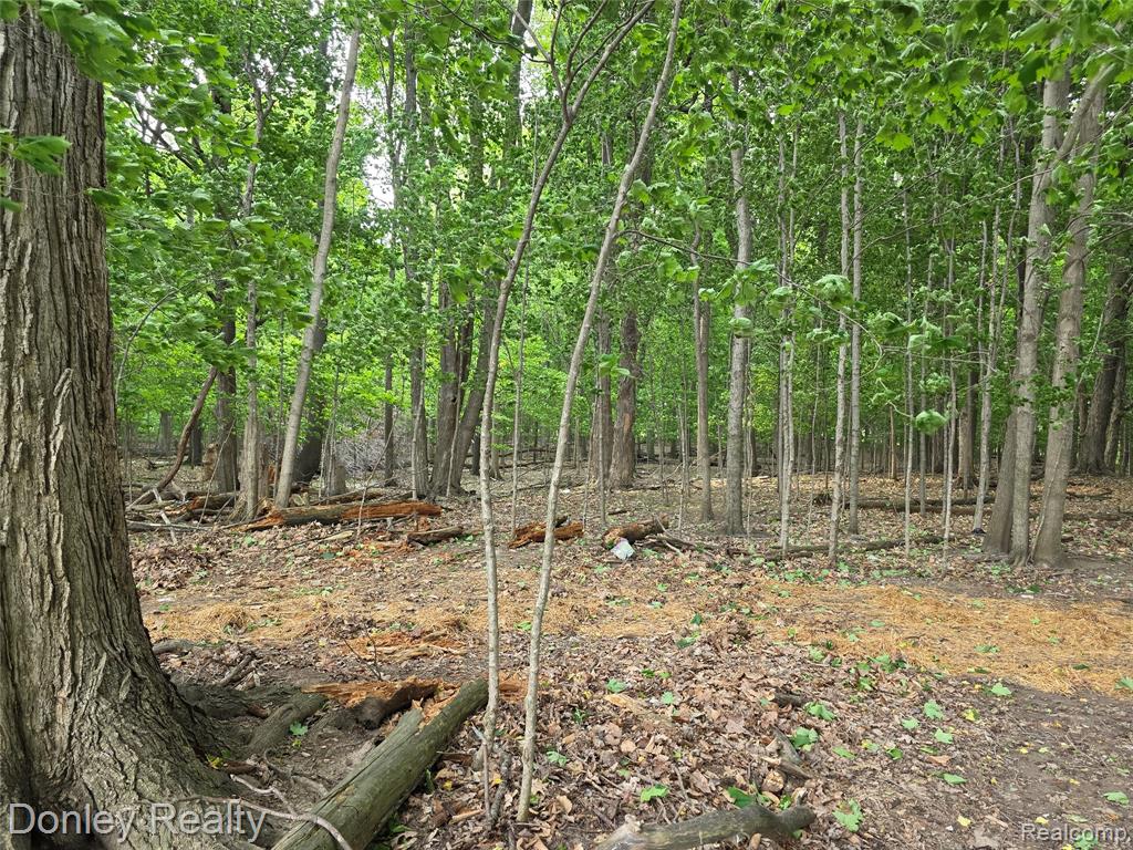 5900 Frenchline Road, Marlette, MI 48453 — Photo 11