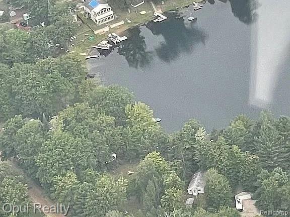 221 Bluegill Lake Road, Harrison, MI 48625 — Photo 15