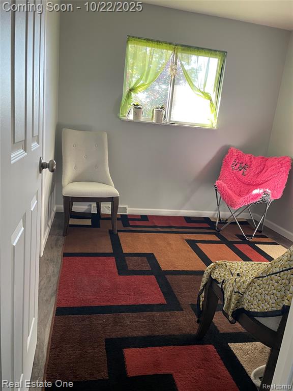 6335 Tubspring Road, Almont, MI 48003 — Photo 15