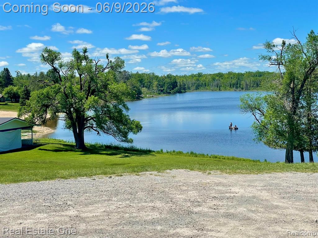2596 E Fox Road, Lincoln, MI 48742 — Photo 44