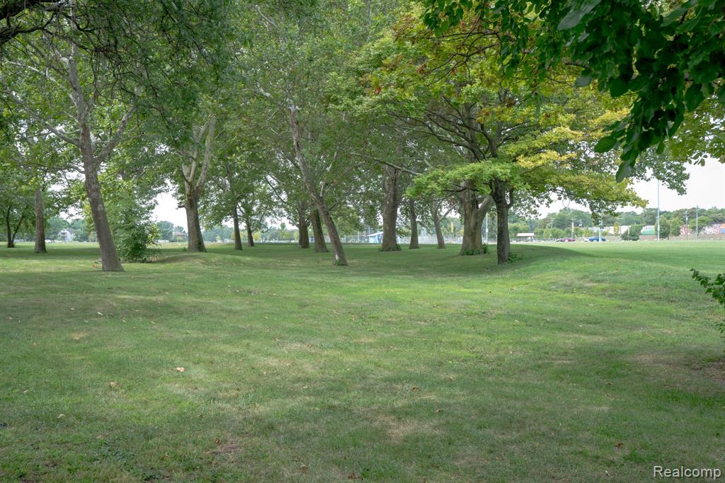 2580 Cabot Street, Detroit, MI 48209 — Photo 14
