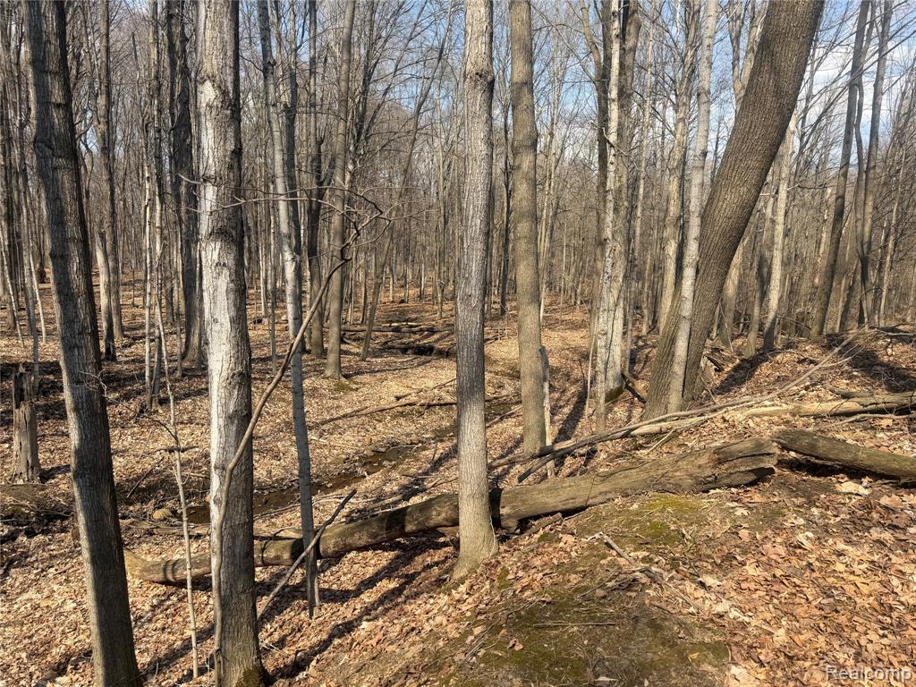 V/L Fulton, Mayville Vlg, MI 48744 — Photo 23