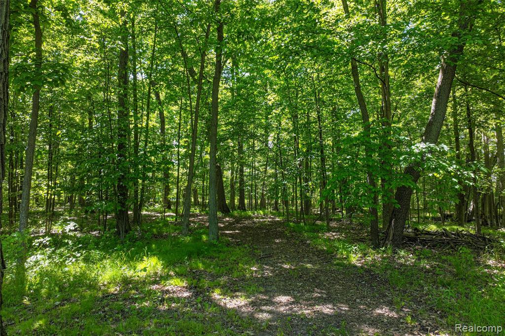 3075 Crandall Road, Howell, MI 48855 — Photo 17