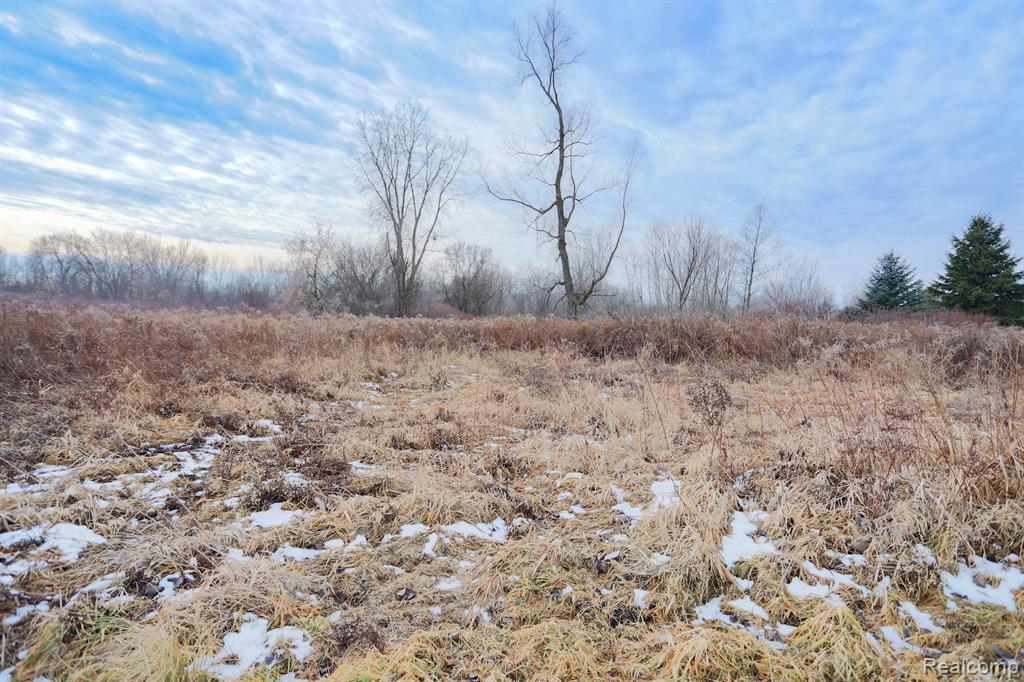 7058 OLDE FARM Trail, Almont, MI 48003 — Photo 15