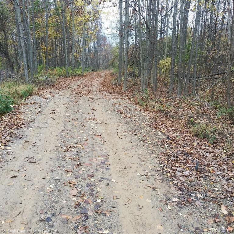 123 N JERZINE Road - Photo 2