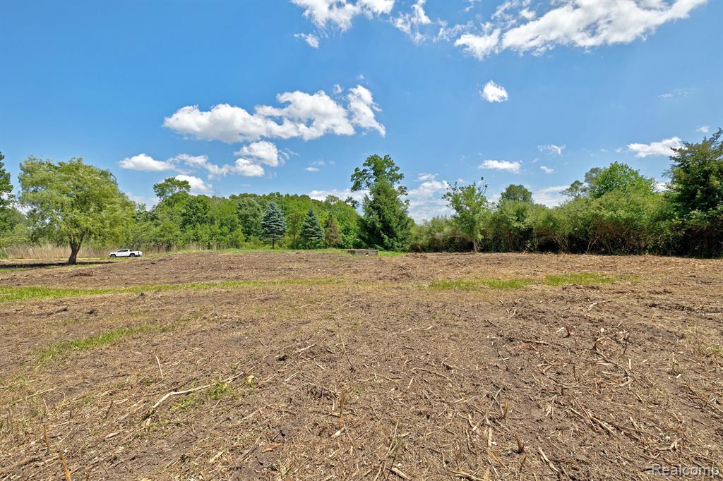 Vacant Land Brandt Road, Ortonville, MI 48462 — Photo 28