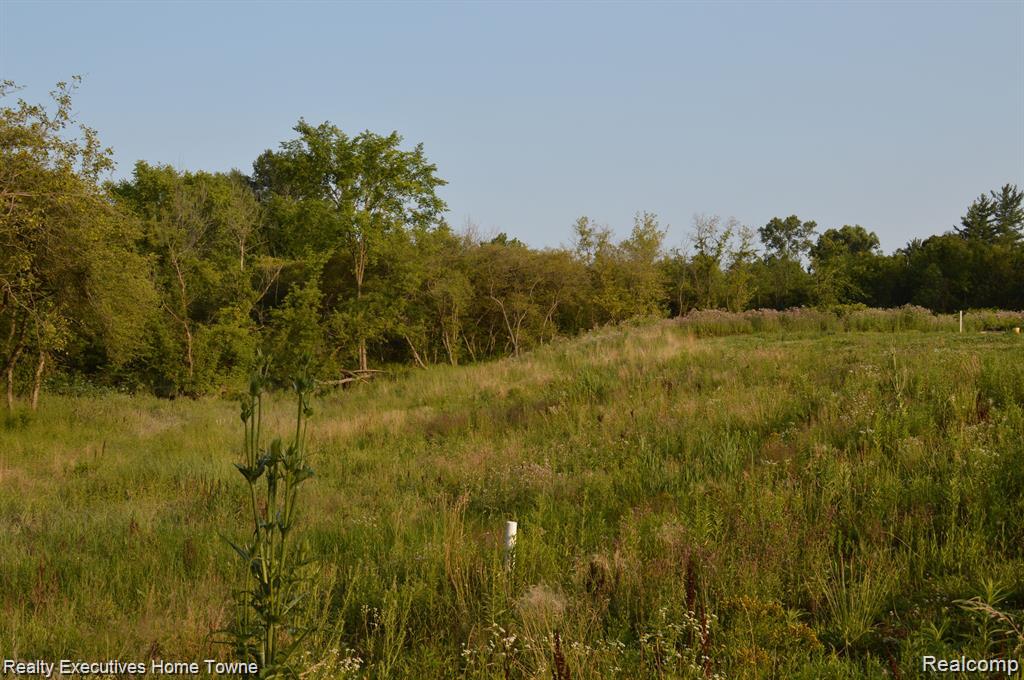 54620 Washington, Chesterfield, MI 48047 — Photo 3