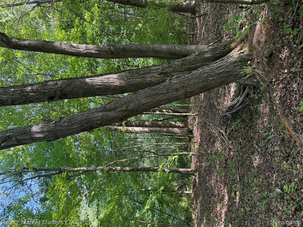 5400 Snow Den Trail, Columbiaville, MI 48421 — Photo 19
