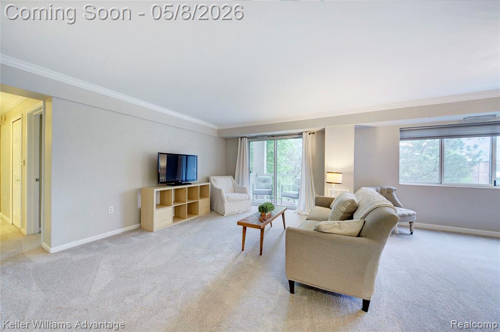 770 Deer Street, 302, Plymouth, MI 48170 — Photo 12