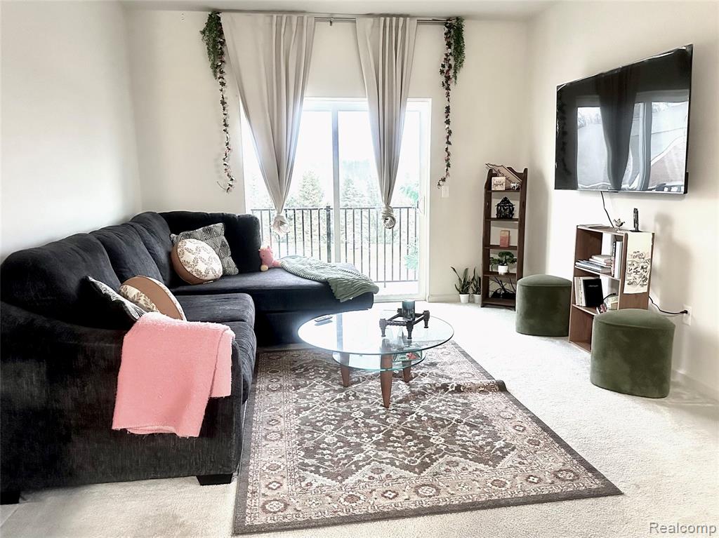 10028 RIDGE RUN Street, 10, Howell, MI 48855 — Photo 6