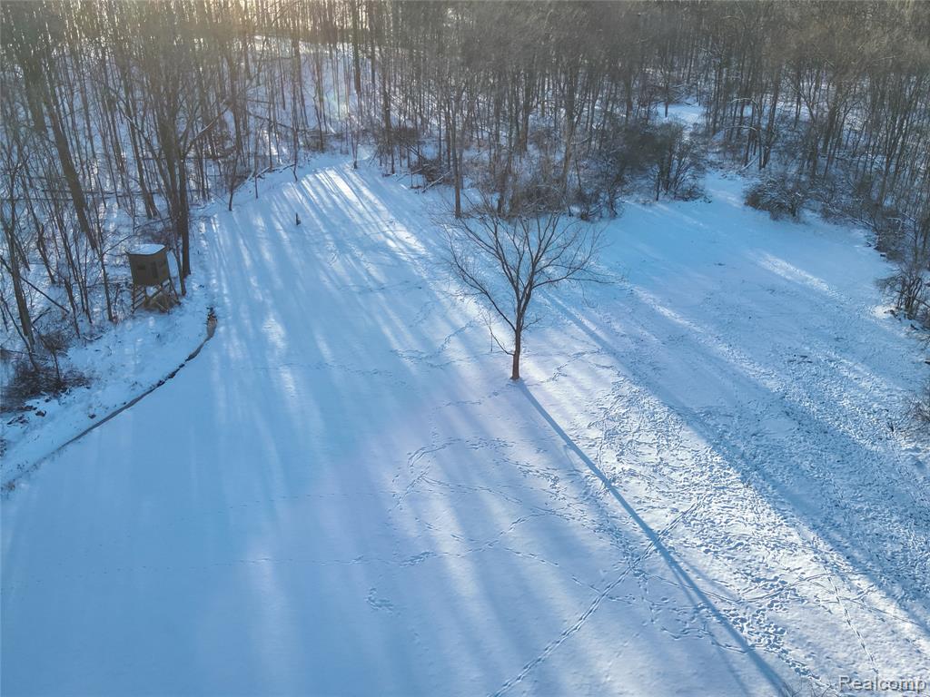 v/l W Us-12 Highway, Manchester, MI 48158 — Photo 9