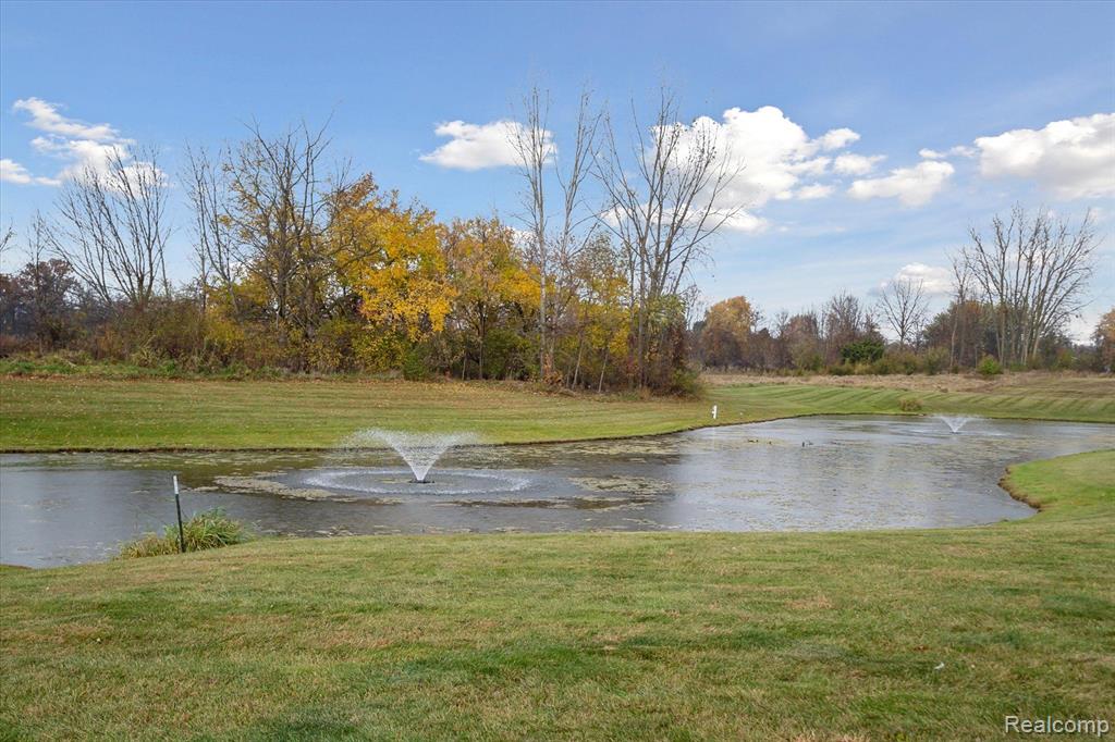 4272 TUPPER LAKE Way, Linden, MI 48451 — Photo 18