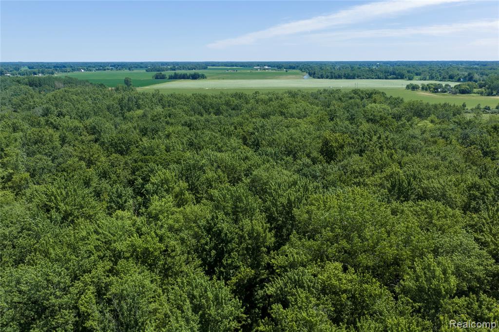 Parcel B Dodge Rd, Cass City, MI 48726 — Photo 16