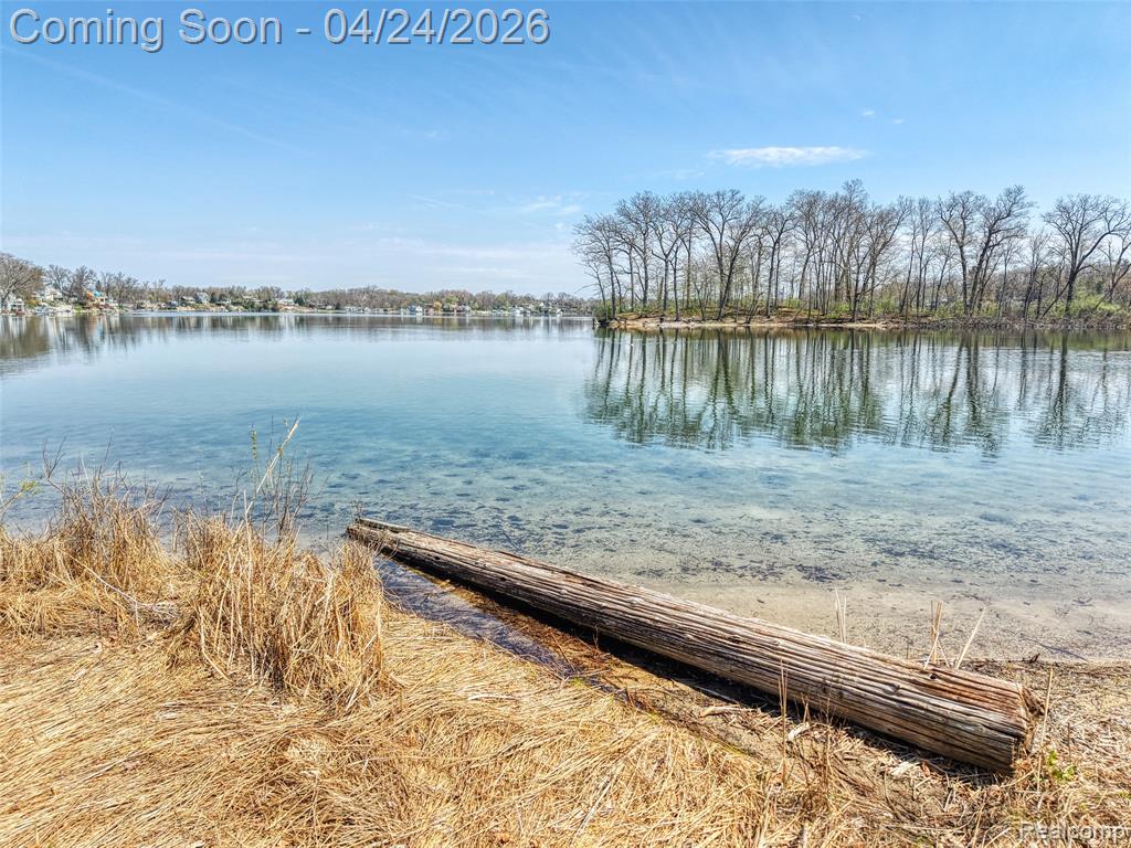 6056 Superior Drive, Brighton, MI 48116 — Photo 15