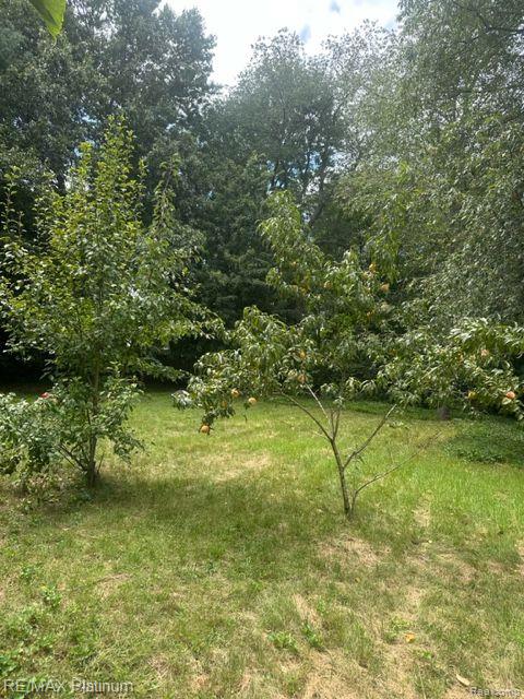 430 WILD OAK Lane, Perry, MI 48872 — Photo 62