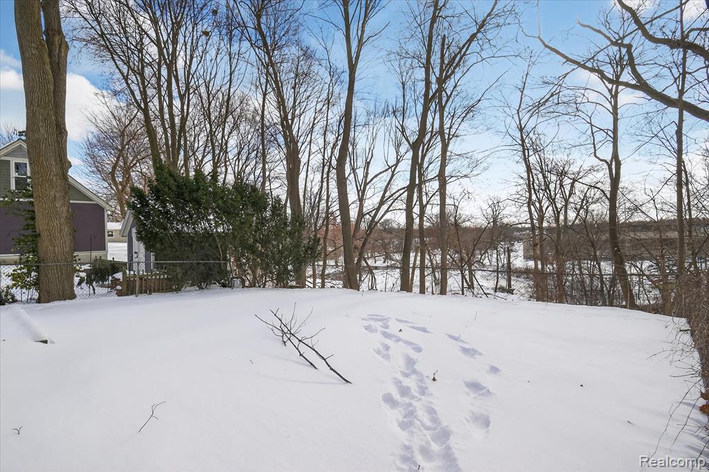 442 BUTLER Street, Northville, MI 48167 — Photo 46