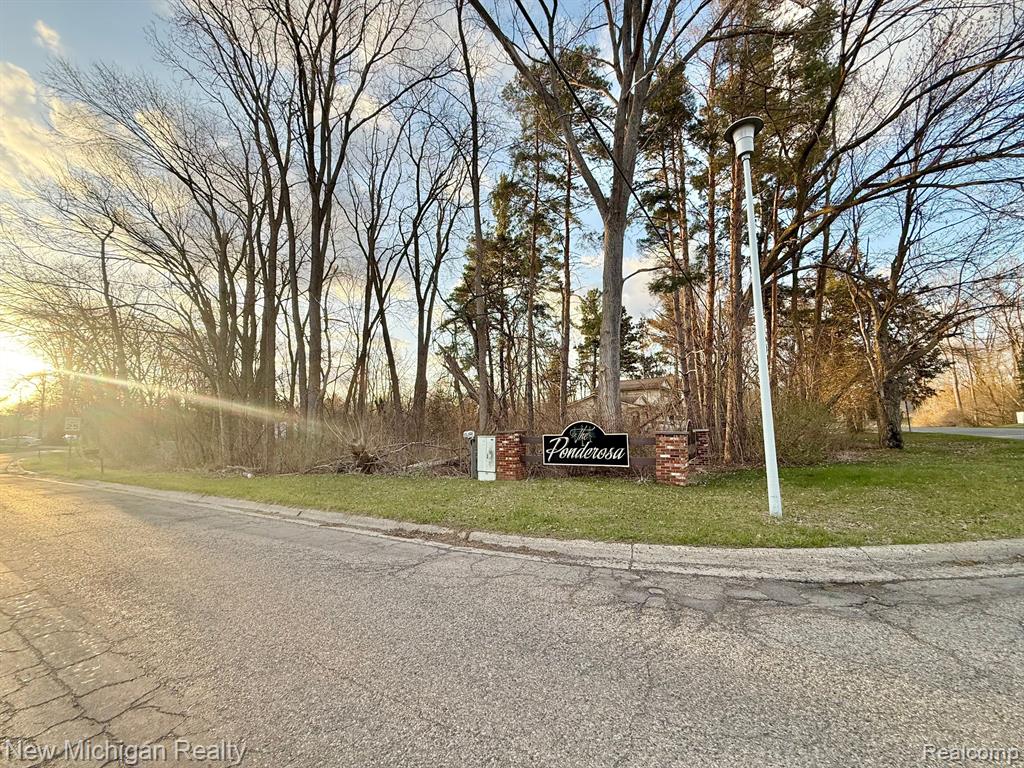9080 SADDLE HORN Drive, Flushing, MI 48433 — Photo 4