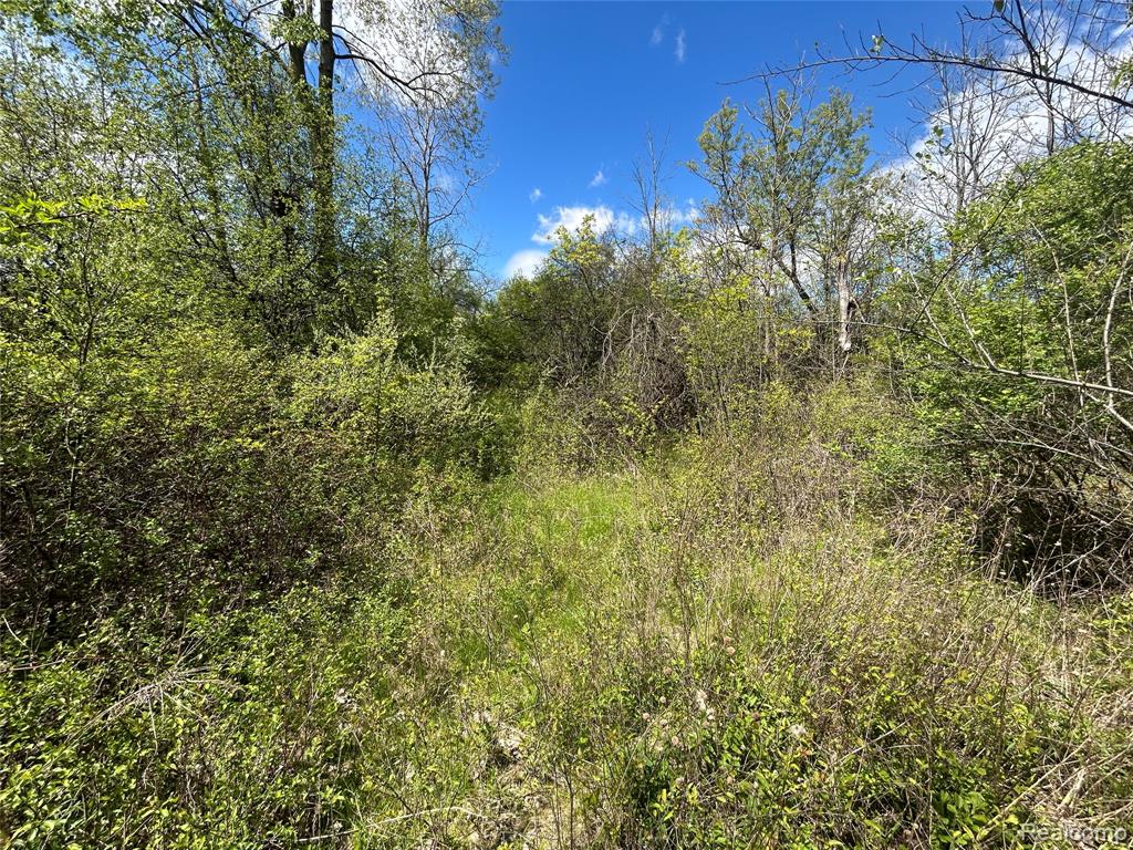 2356 S DYE Road, Flint, MI 48532 — Photo 18