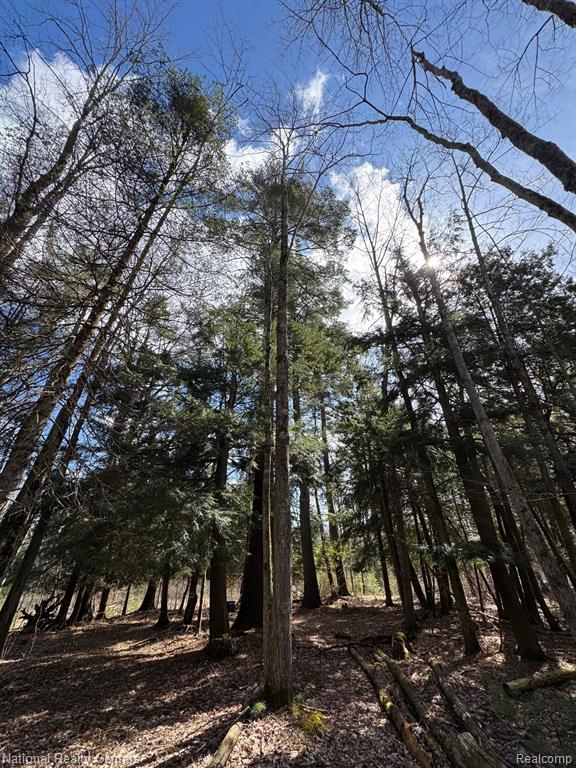 4233 Hardacre Trail, Houghton Lake, MI 48629 — Photo 16