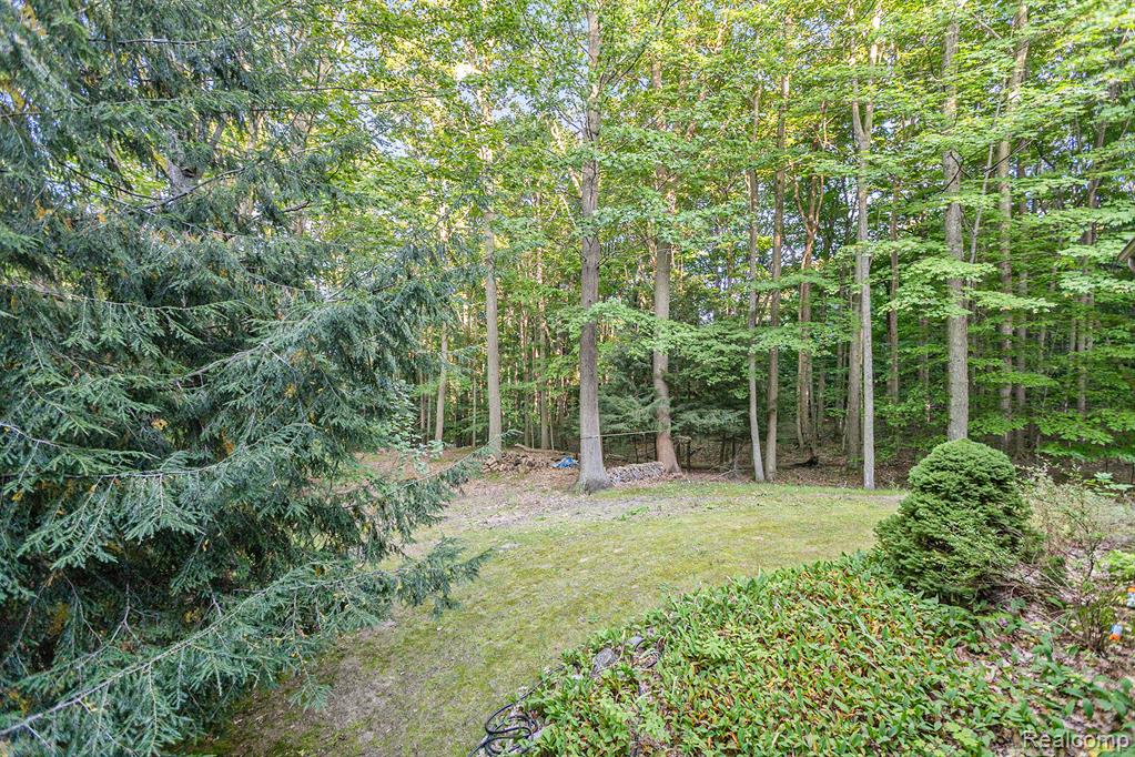 266 Adams Road, Frankfort, MI 49635 — Photo 29