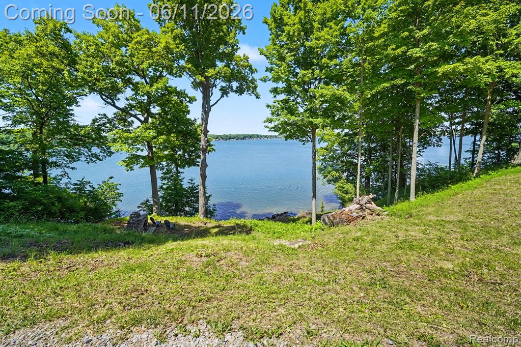 3931 S Shore Drive, Lapeer, MI 48446 — Photo 23