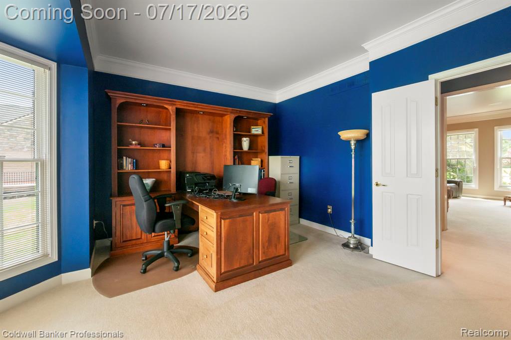 11460 Maple Valley Drive, Plymouth, MI 48170 — Photo 26