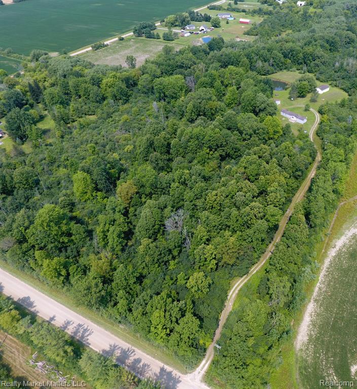 10392 Jeddo Road, Greenwood, MI 48006 — Photo 32
